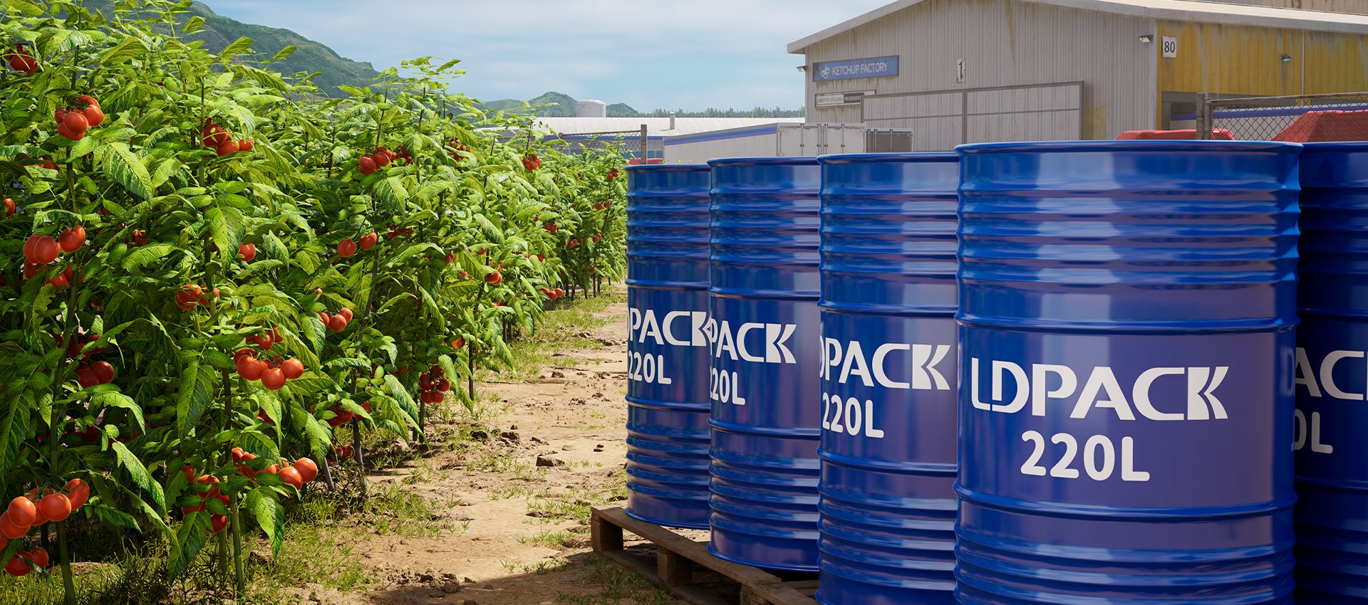 Embalagem Bag-in-Box